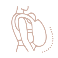 Hip-Healthy C-Position